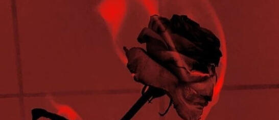 " The body, her vessel. "